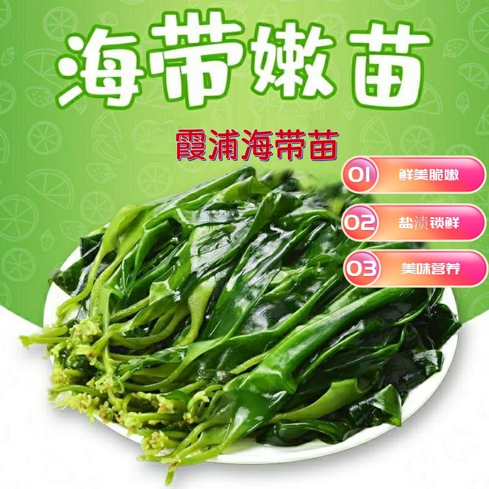【新店2500g超值购】霞浦新鲜盐渍海带苗鲜嫩爽滑新鲜海带煲汤火锅