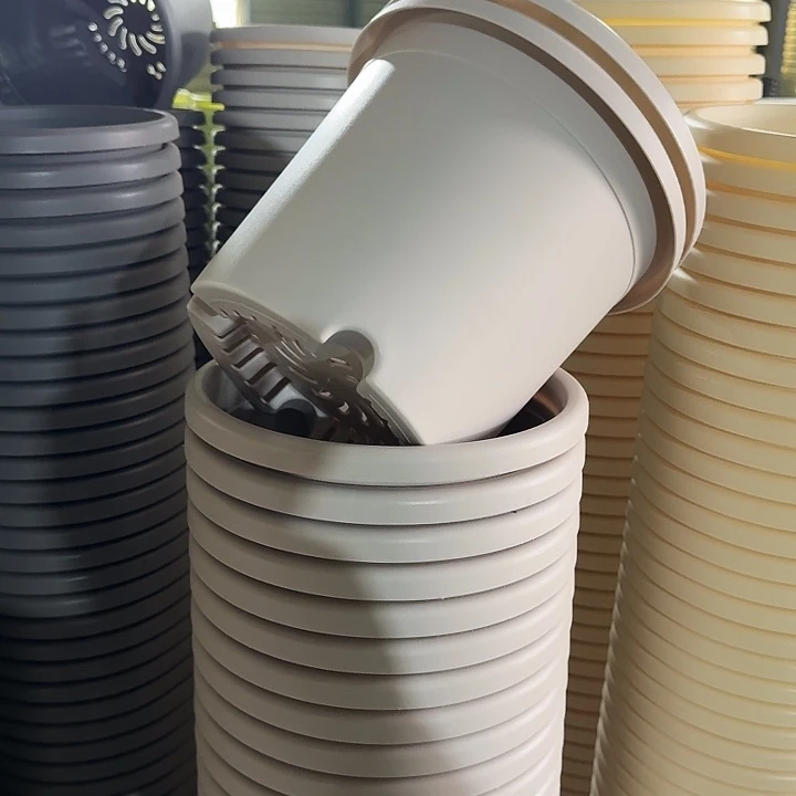 四季4#口径25灰白8个无托