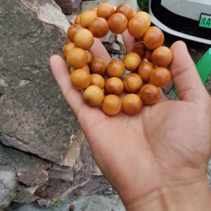1.8黄泥膏太行崖柏