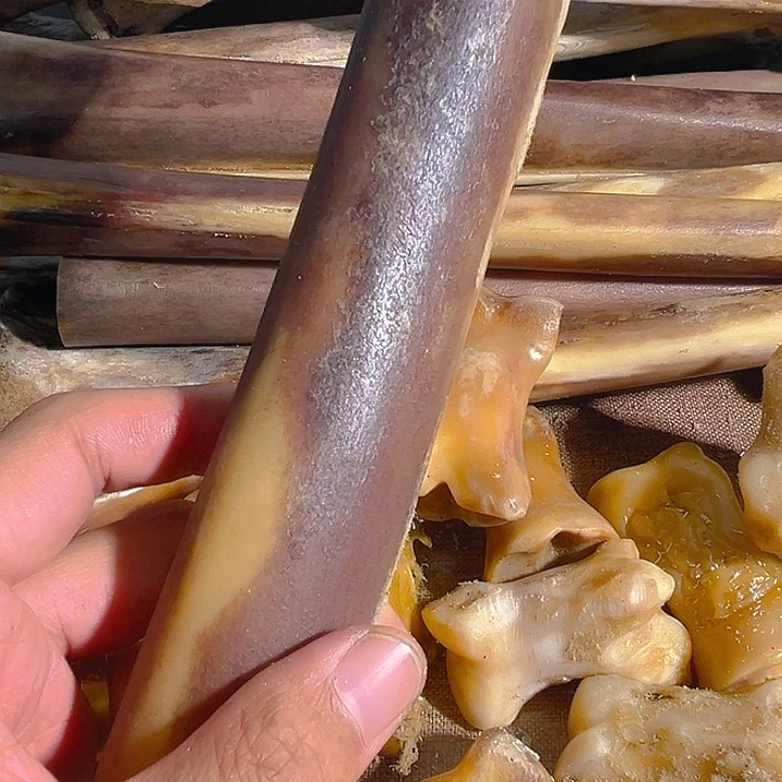 ZX驼鸟骨整根整根整根