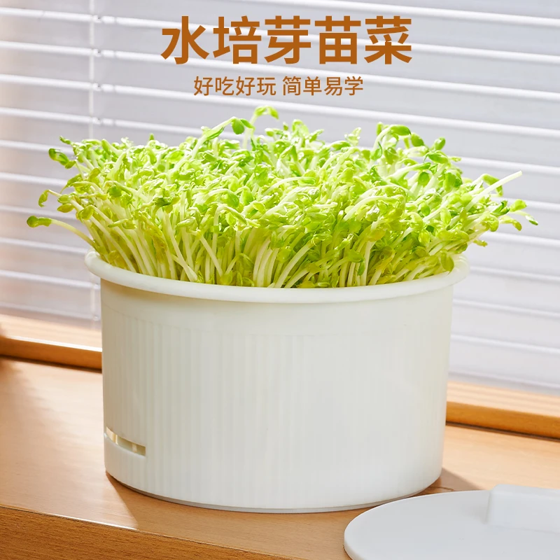 豆芽机家用发豆芽神器生豆芽罐豆牙盆桶家庭小型自制绿豆大容量