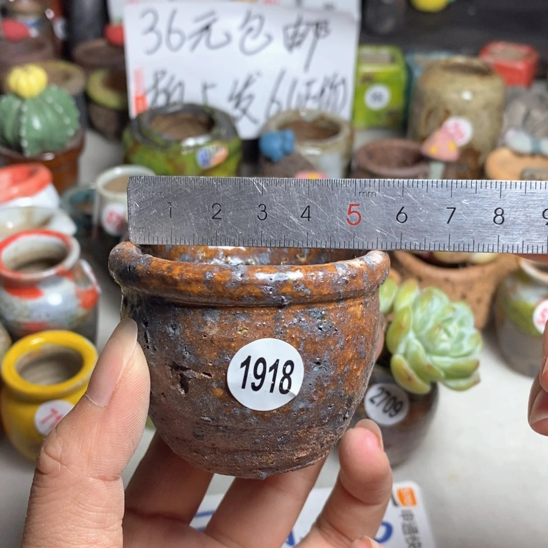 拍5送一个小礼物