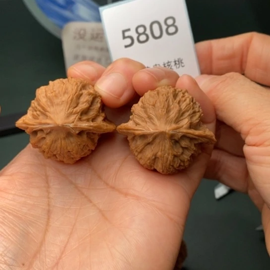 把件文玩核桃38公子帽5808