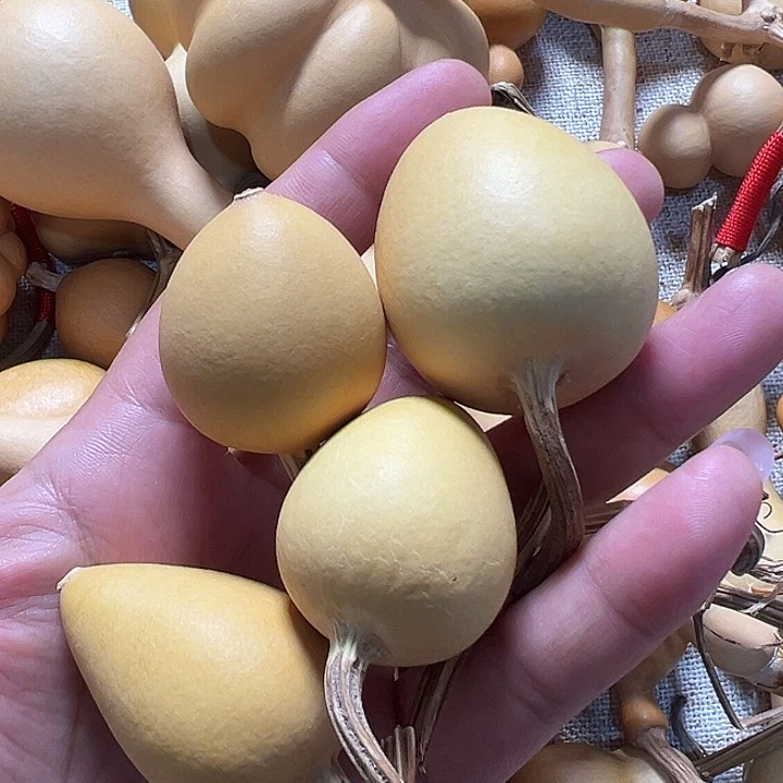 漂亮漂亮漂亮漂亮漂亮