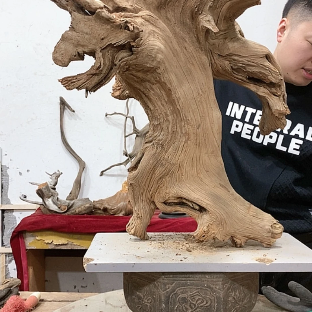 【闪购商品】柏木橡***你我们都是好孩子