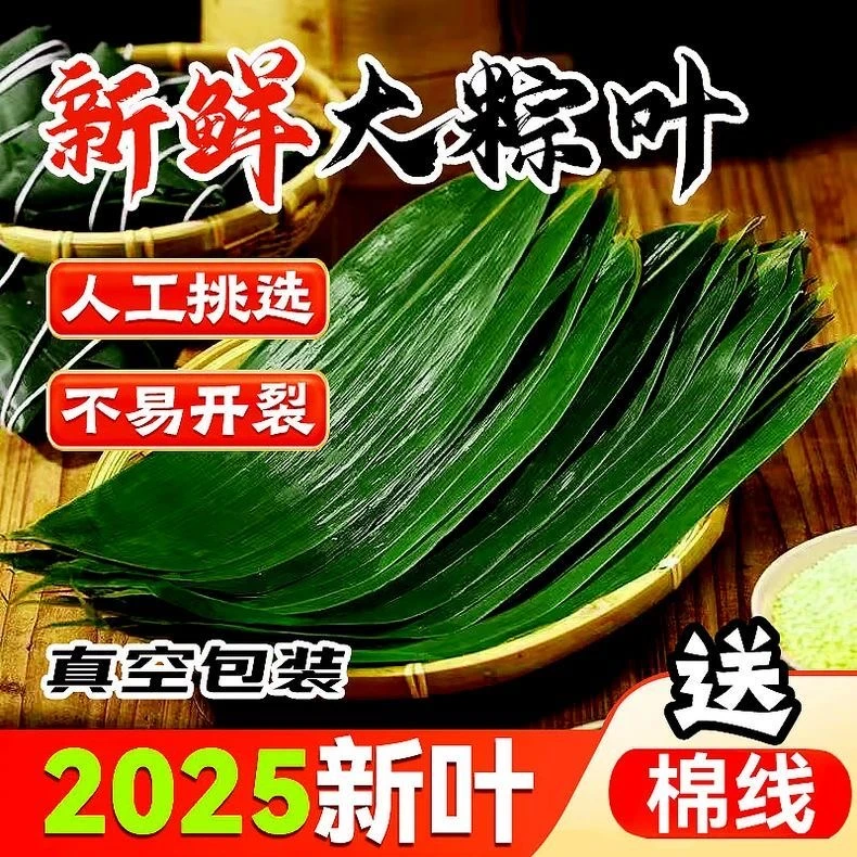 粽叶新鲜家用端午包粽子叶特大号箸叶真空装干粽子叶包粽子线粽绳