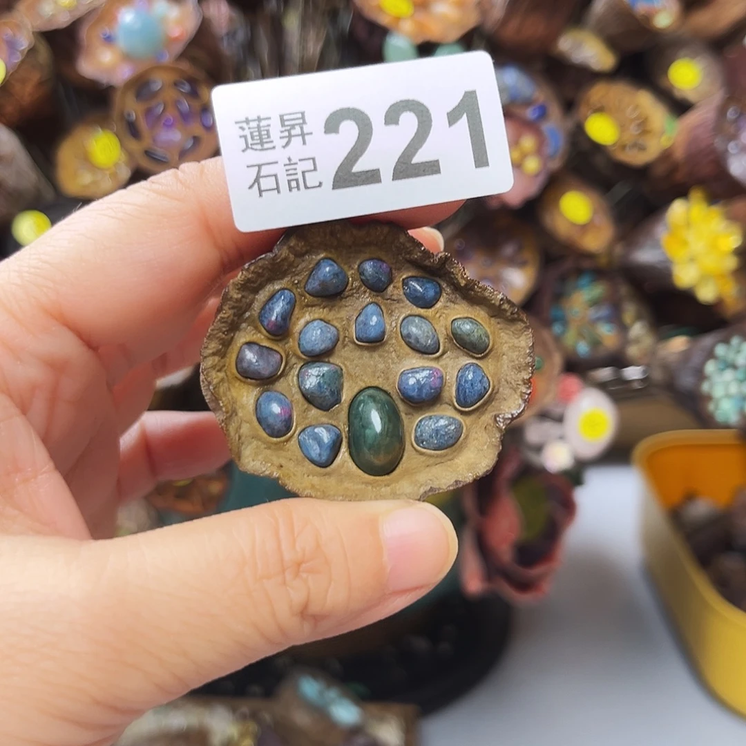 ****的核桃木/黑胡桃（胡桃木）221