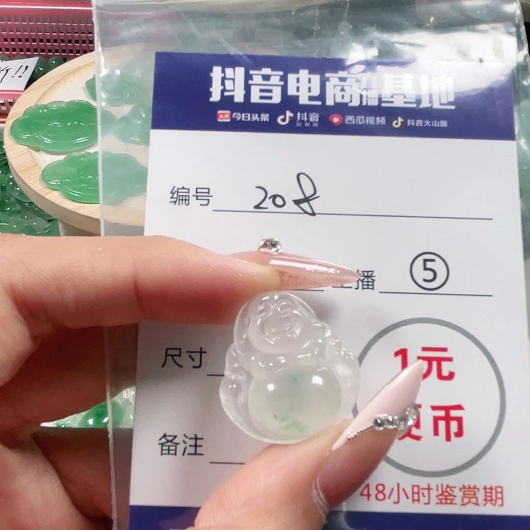 石英质玉未镶嵌颈饰