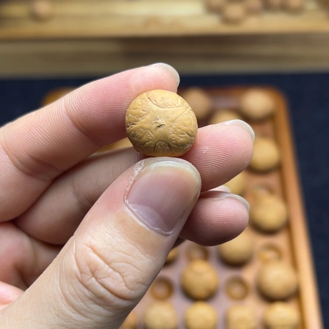 凤眼菩提手串16.5五星上将