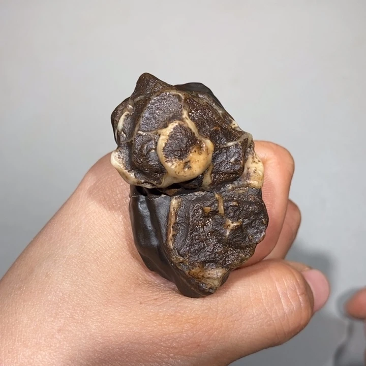 玛瑙/玉髓车挂合金六**回357