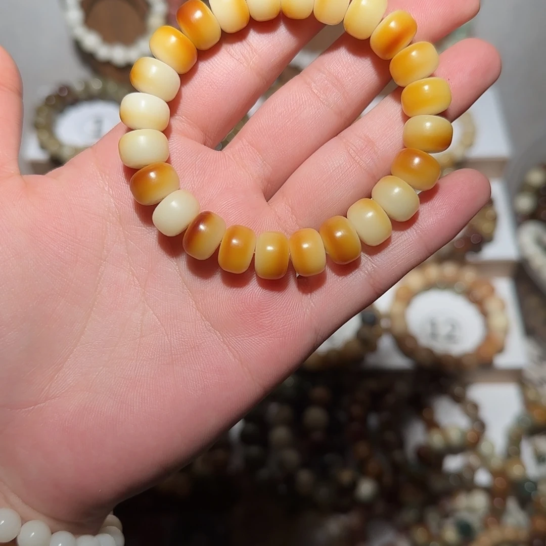 小****菩提根/象牙果手串