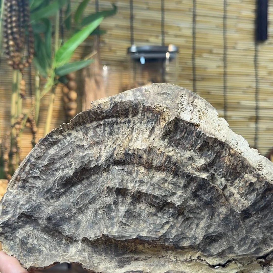 沉香沉香碎屑沉香老头70g