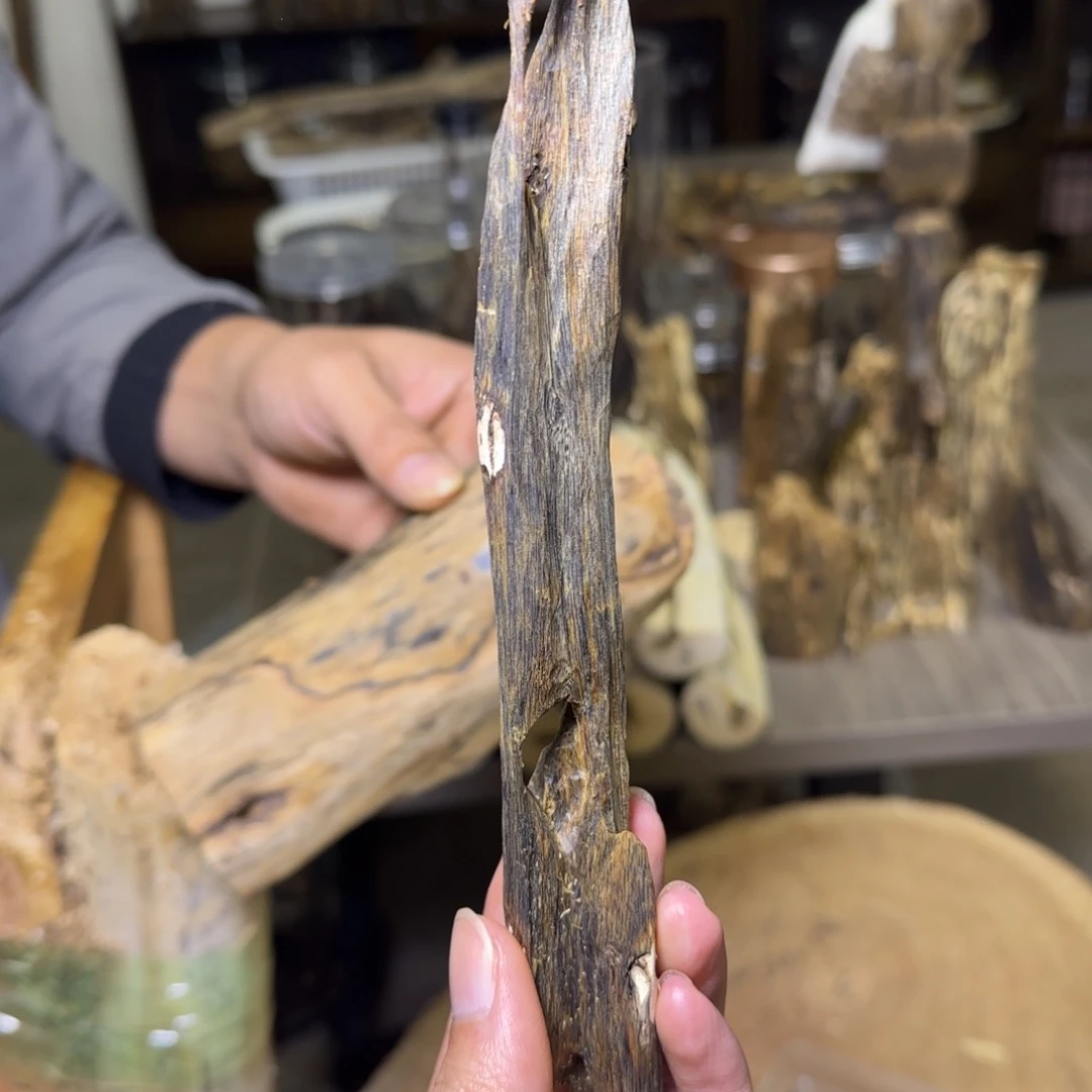 线香东江绿原料发一份