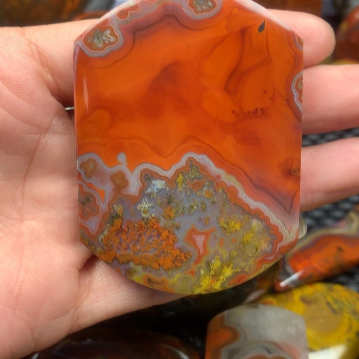 未镶嵌牌子玛瑙/玉髓大****鱼