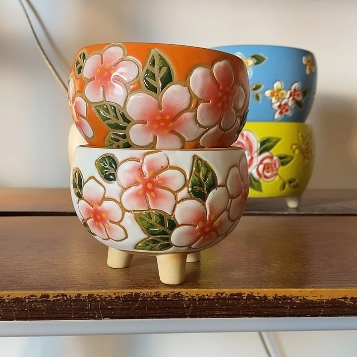 韩式多肉植物花盆