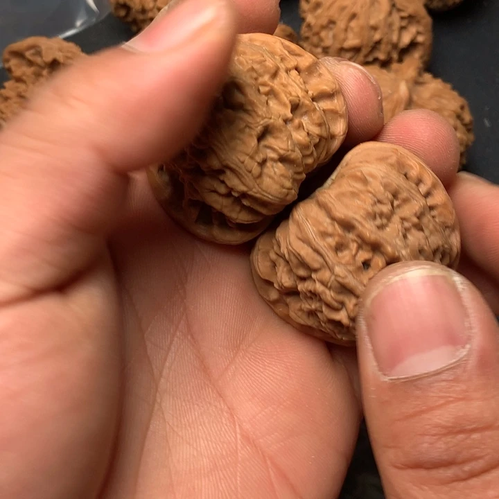 把件文玩核桃39白狮子1006