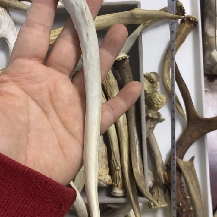 x***燕专拍专拍专拍专拍