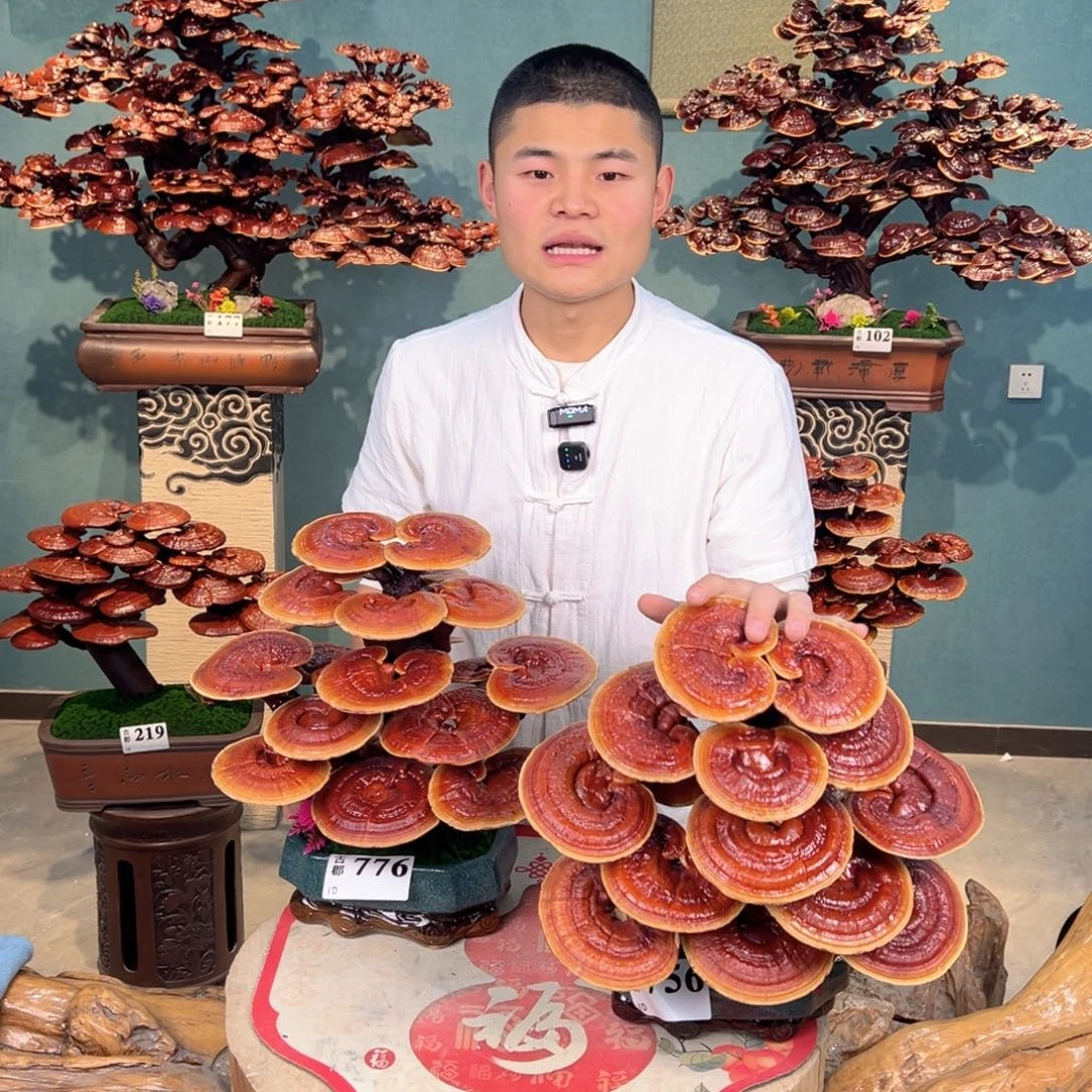 无花朵88888888888