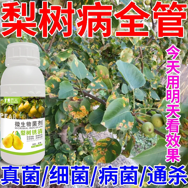 梨树病全治专用药梨树病清锈斑病黑星病锈炭疽褐斑软腐微生物肥料