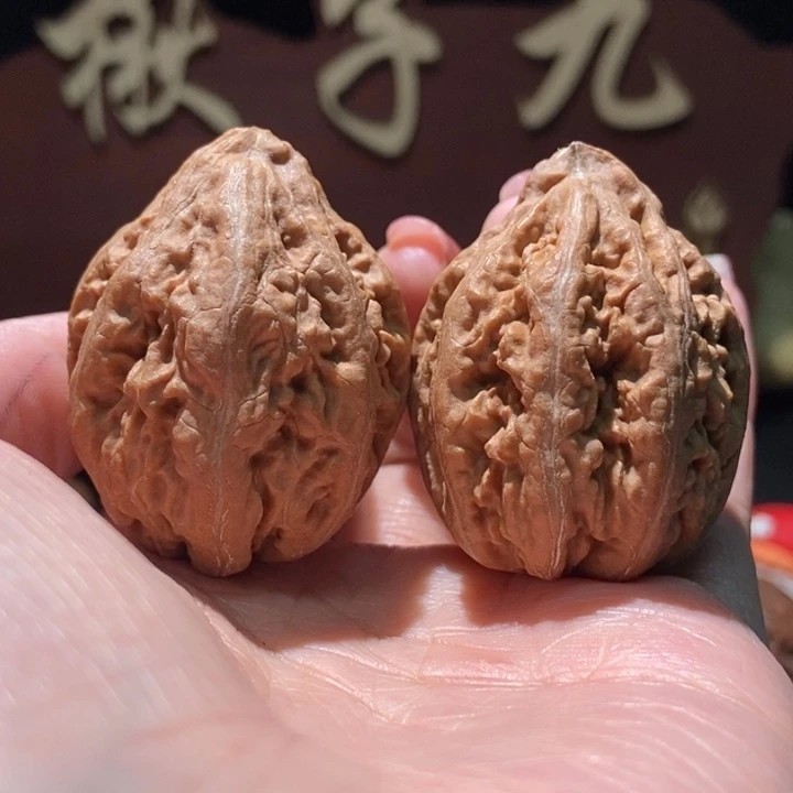木质类聚核财婉楸81