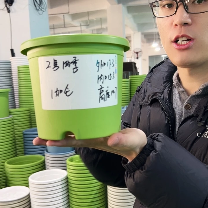 特价2号四季口17.3高14.7果绿无托10只