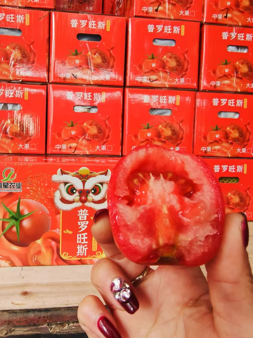 儿时记忆普罗旺斯西红柿（整箱）