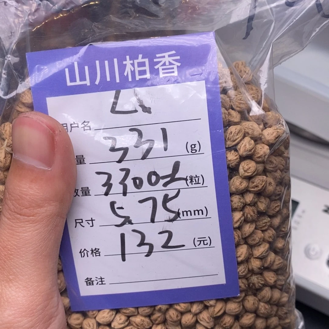 柏香籽/百香籽吊坠L*