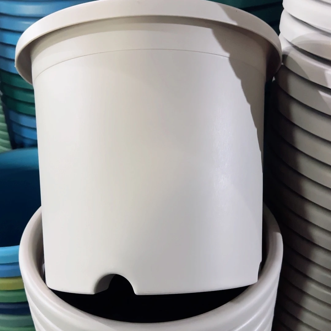 树脂特价5#无拖灰白6个