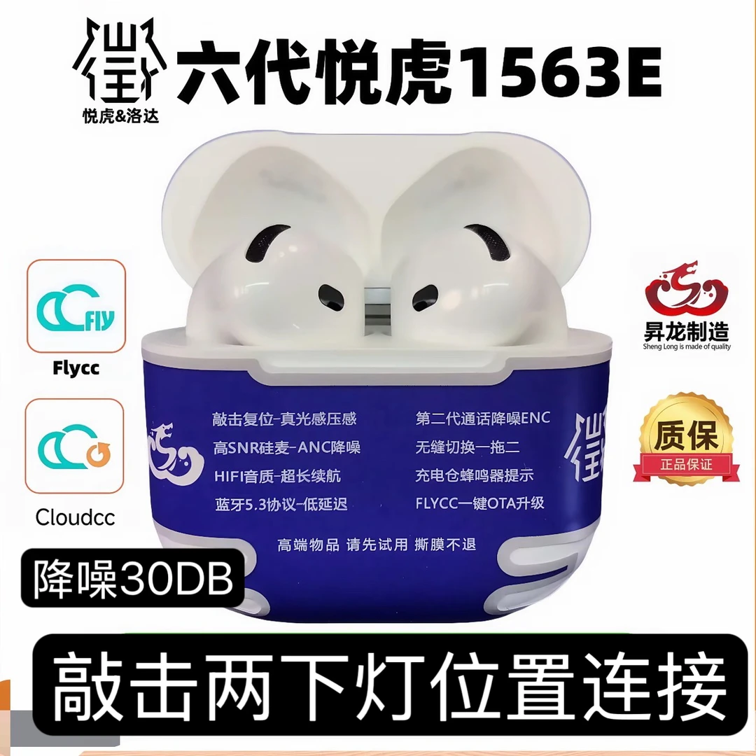 昇龙洛达悦虎1563E 新款C口半入耳式降噪蓝牙耳机匠笔