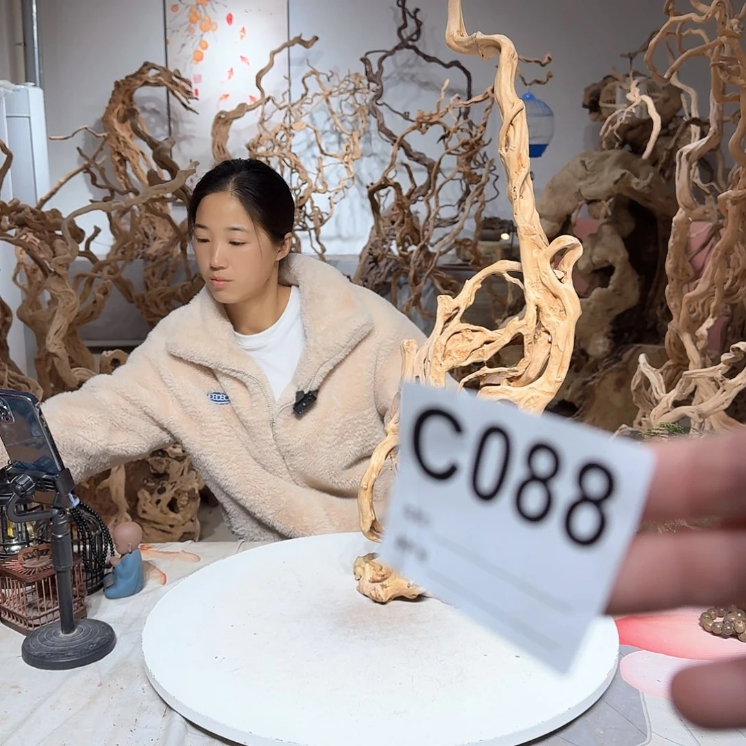 风车木（黑檀木）常****）