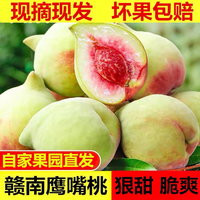 兴国鹰嘴蜜桃现摘现发当季水果现摘现发脆甜应季鹰嘴桃