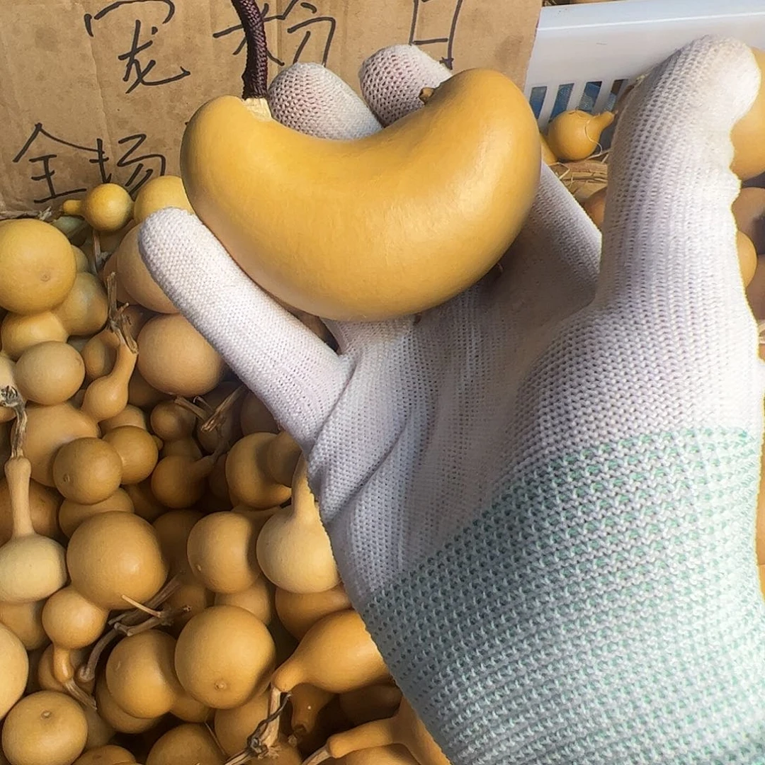 葫芦是因为自己没有能力改变别人吧！