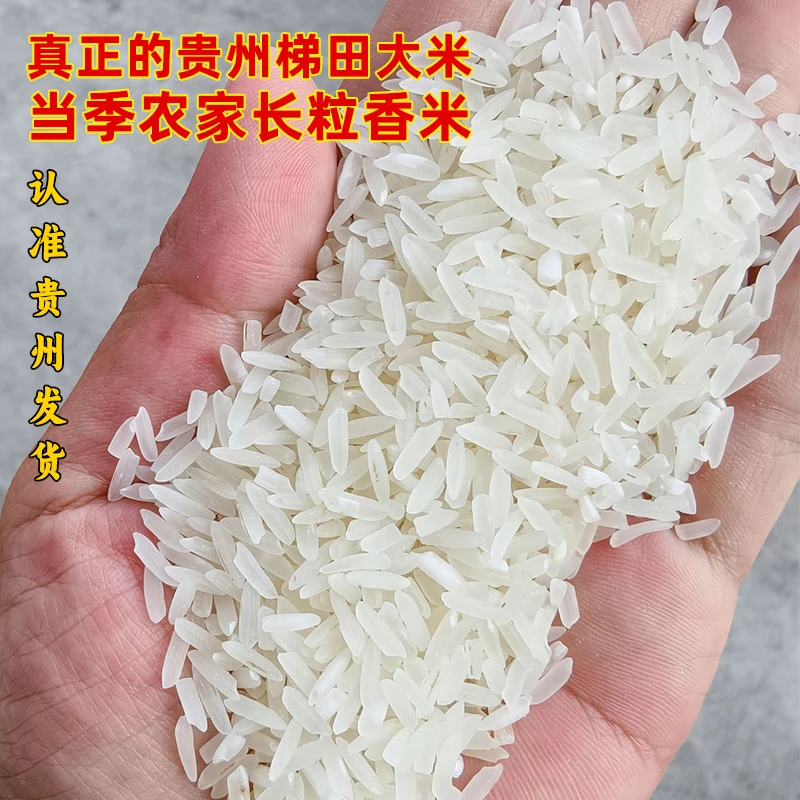 【25年当季现磨新米】贵州梯田新大米长粒香米10斤装（支持试吃两斤）