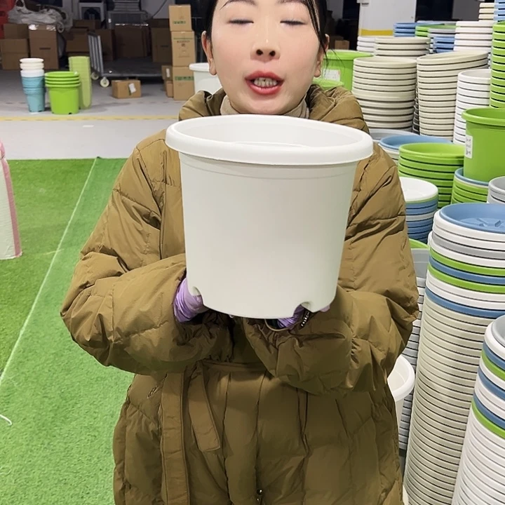 特价3号四季口21高18白色10只无托