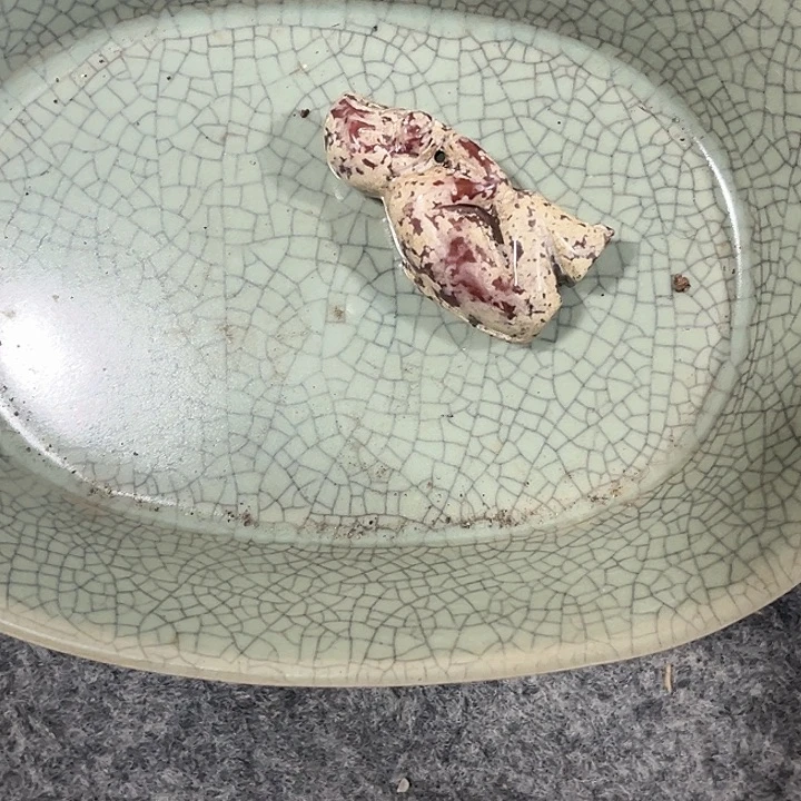 瓷器瓷器瓷器瓷器瓷瓷