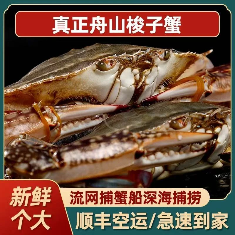 【保鲜不保活】舟山野生东海海捕梭子蟹鲜活6-8两/只到手三斤顺丰