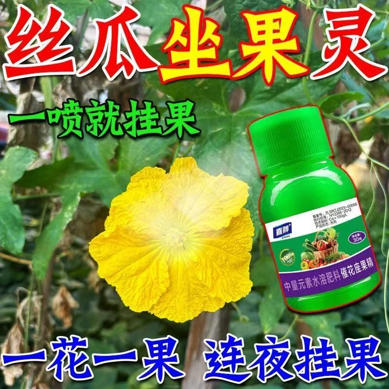 丝瓜专用授粉药强效授粉座果精授粉花果素防落素保花保果素沾花素