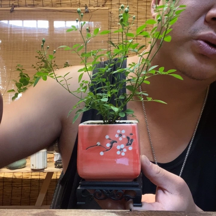 他**石一物一拍所见即所得142