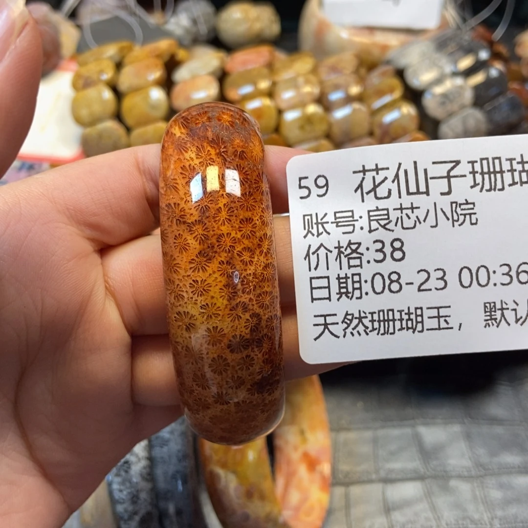 良***院未镶嵌硅化珊瑚（珊瑚玉）珠宝半成品59