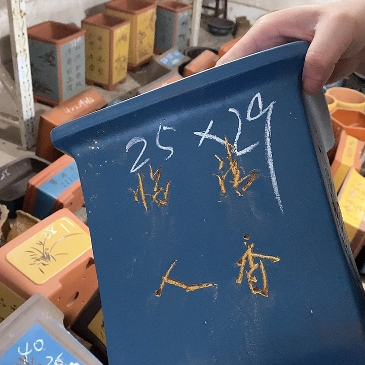 紫砂茶壶紫的演技