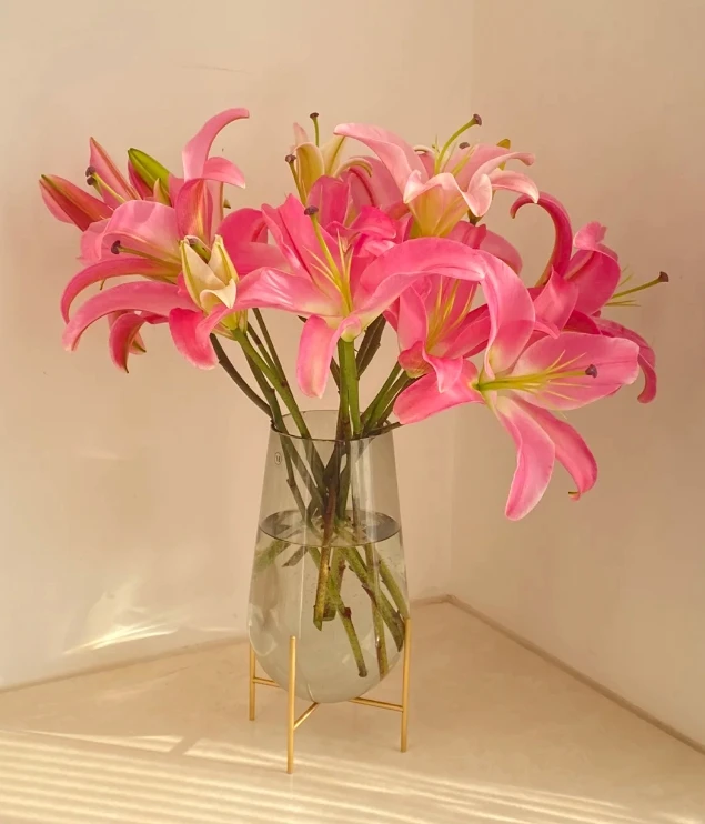 【全场任意两单包邮】普拉芬多百合  3头3枝（1个头不赔付）