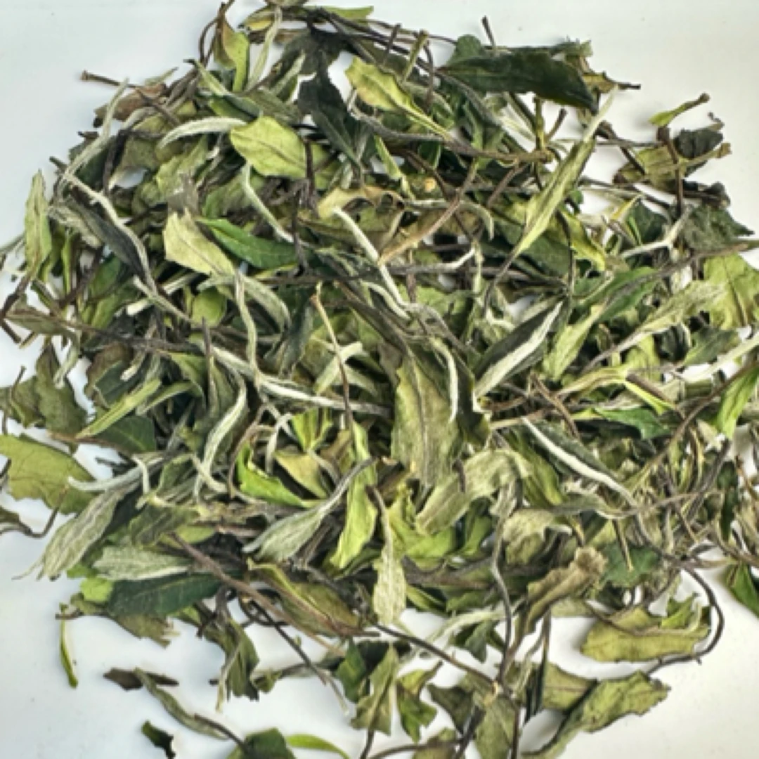 【梗好甜】政和2025年谷雨粗梗春寿眉荒野老枞政大澄源高山政和白茶