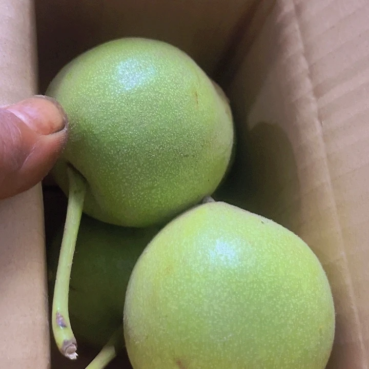 完全开放文玩核桃青皮