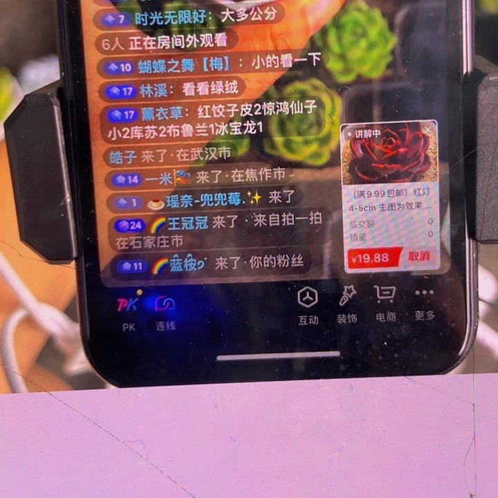 红饺子皮2 惊鸿仙子 2 库苏2 布鲁兰冰宝龙