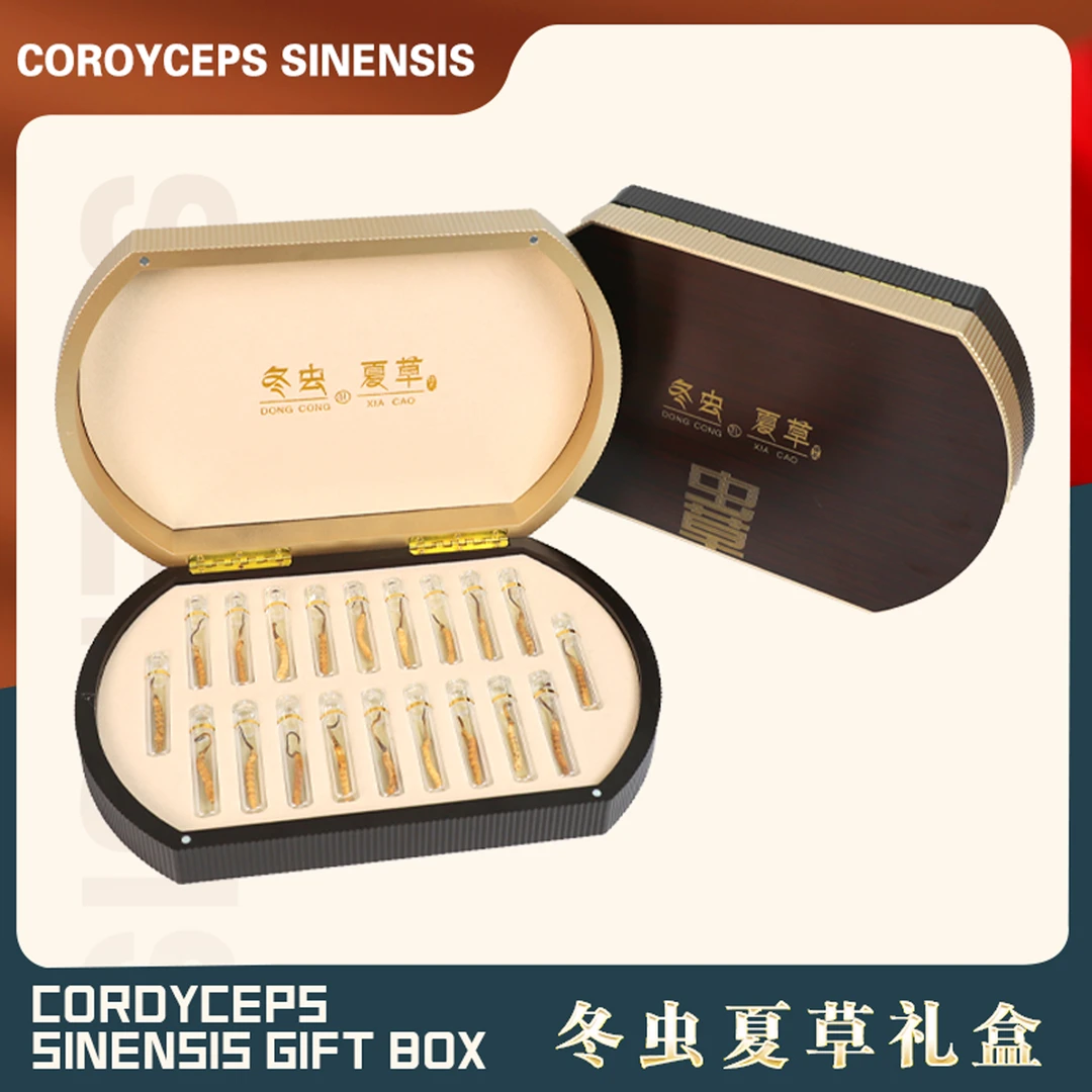 精选饱满 冬虫夏草礼盒装 头期虫草2盒装煲汤泡酒节日送礼伴手礼