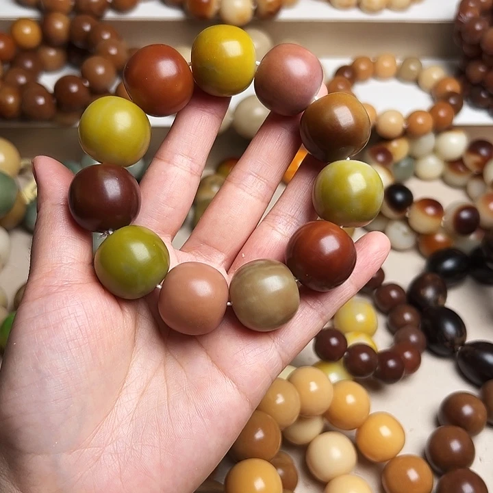 菩提根/象牙果吊坠卡23福利