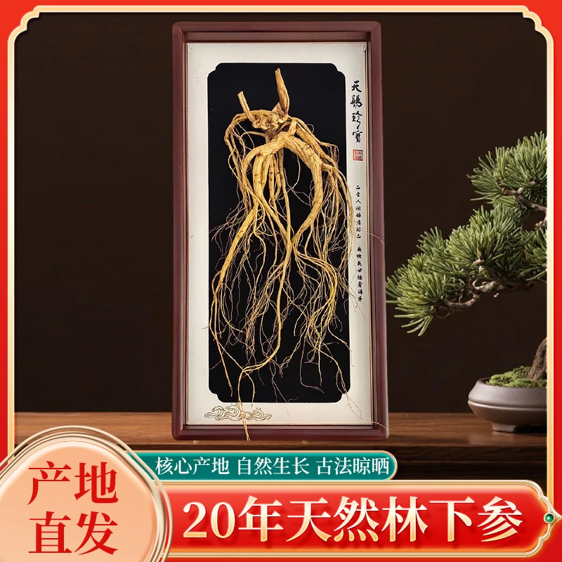 单只每盒山参大货长年50g+高龄28年桓仁形体好干货高档礼盒尚品
