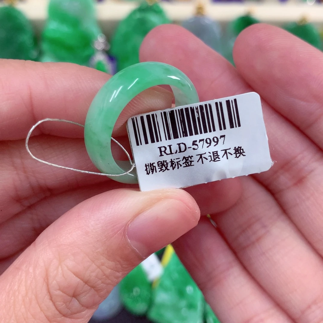 翡翠未镶嵌颈饰……