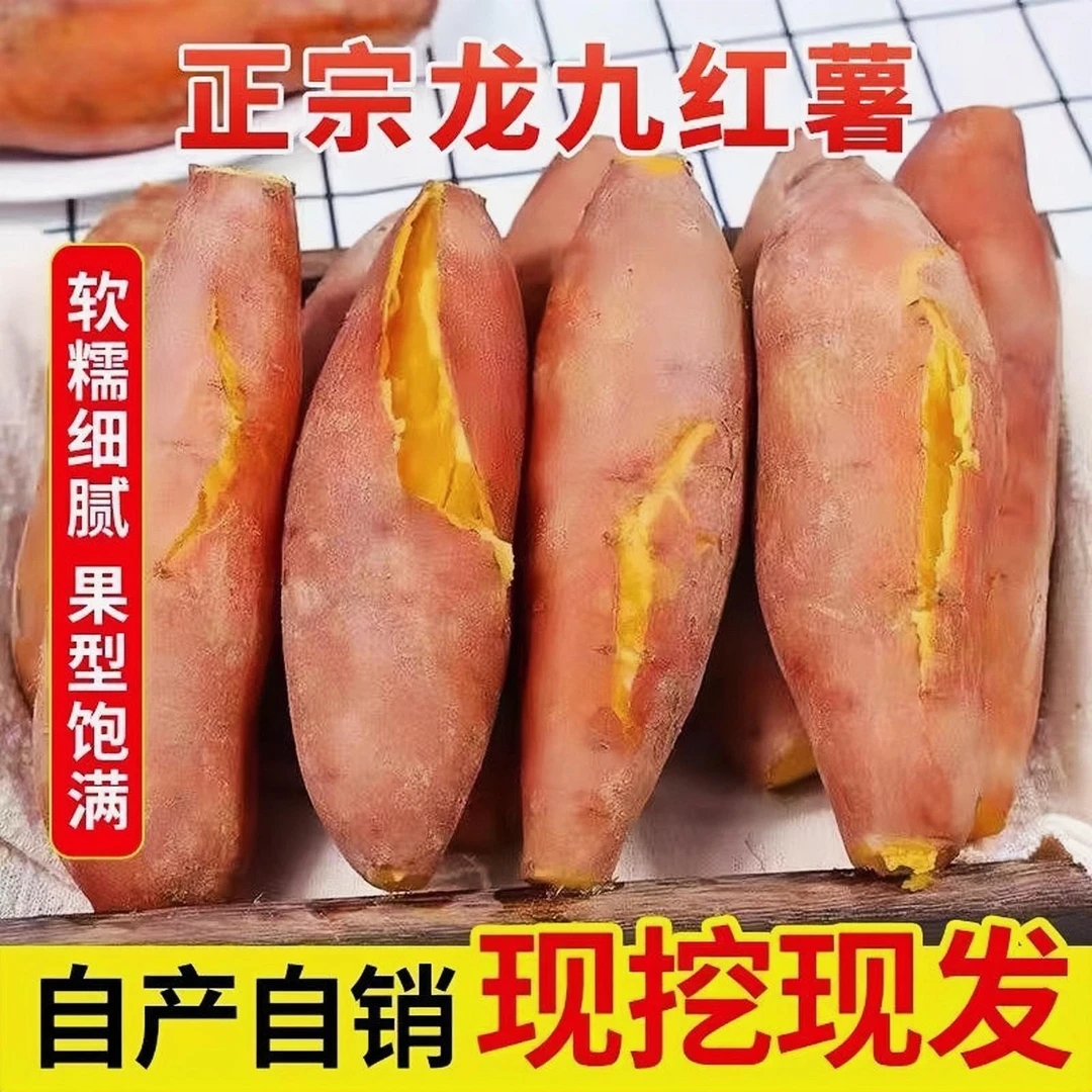 【净重5斤】农家自种新鲜龙九红薯黄心蜜薯番薯地瓜5斤甜糯红心红薯