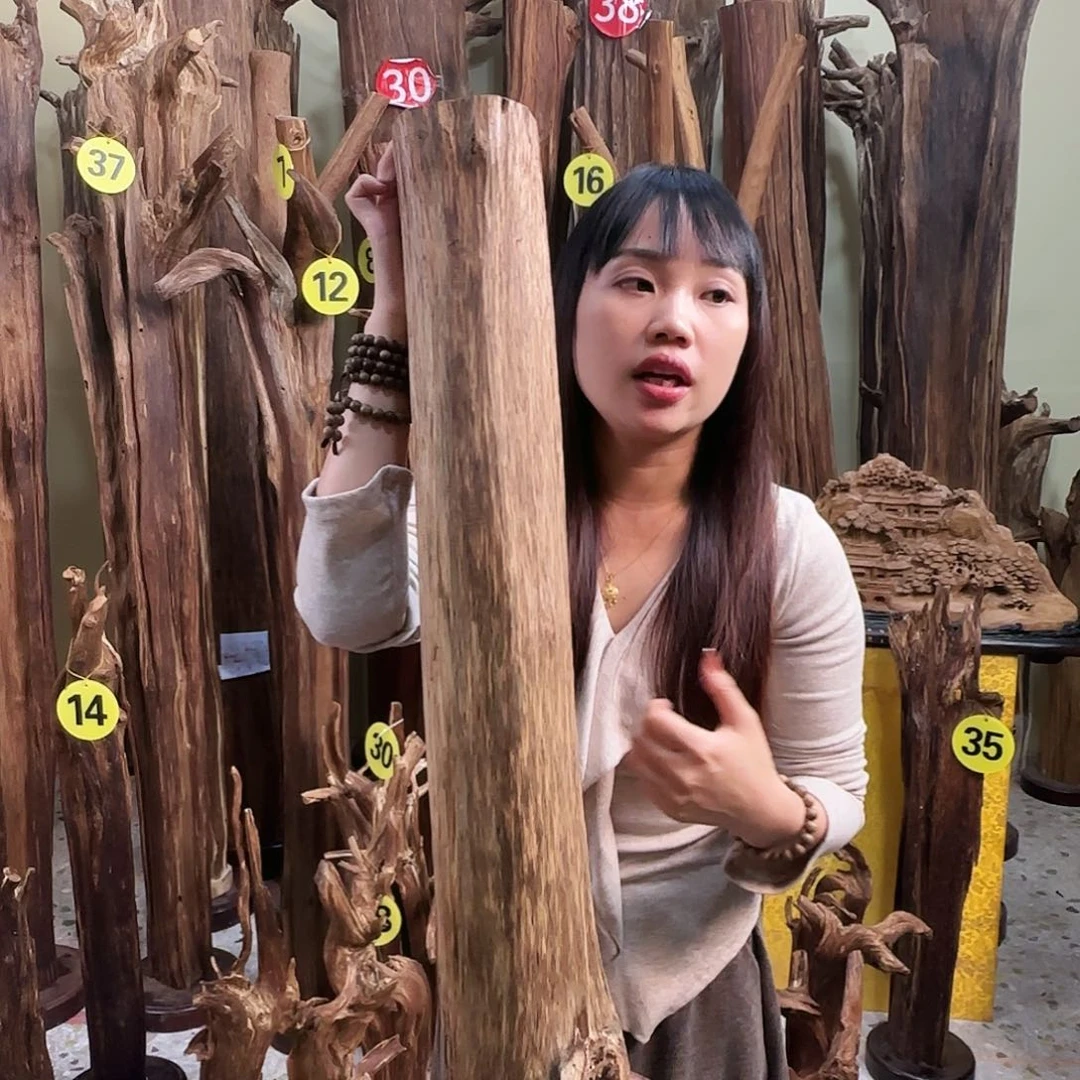 沉香沉香碎屑天然沉香原材料香料熏料